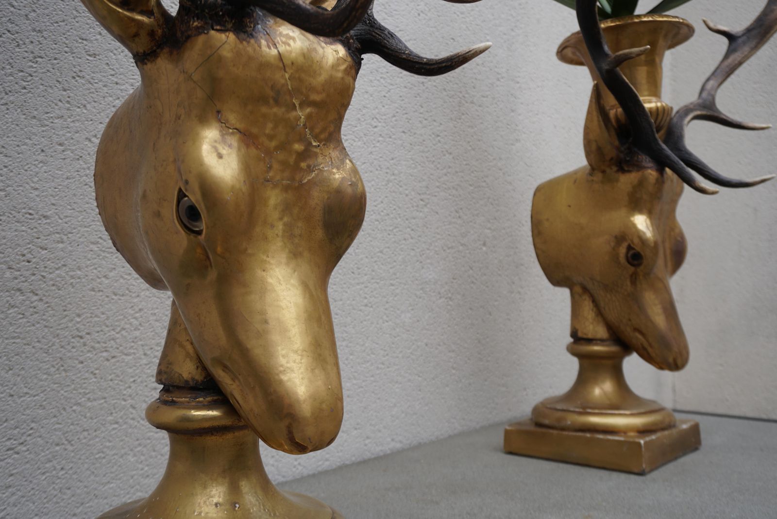 photo buy Beautiful Pair Of Golden Deer Heads With Antlers And Flower Pots