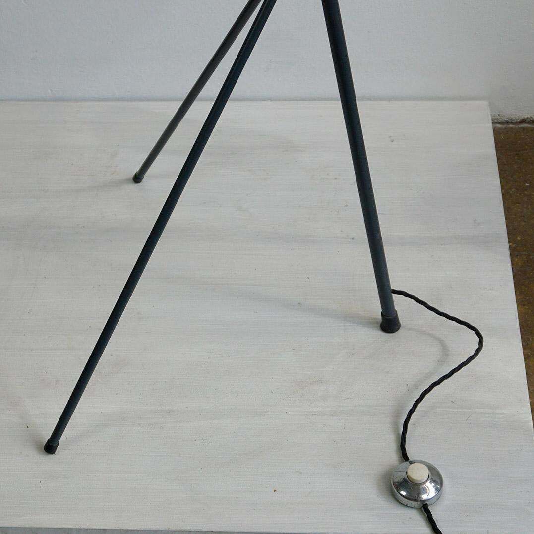 Mid Century Floor Lamp Nx38 By Louis Kalff For Philips Netherlands photo 3002.0