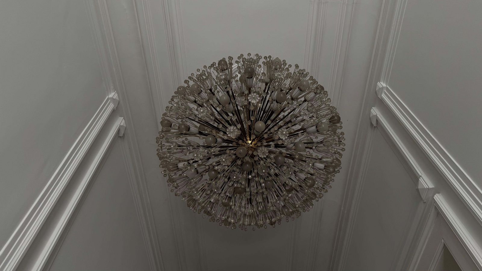 photo buy Large Oval Stejnar Flower Glass & Brass Chandelier, Austria, 1950s