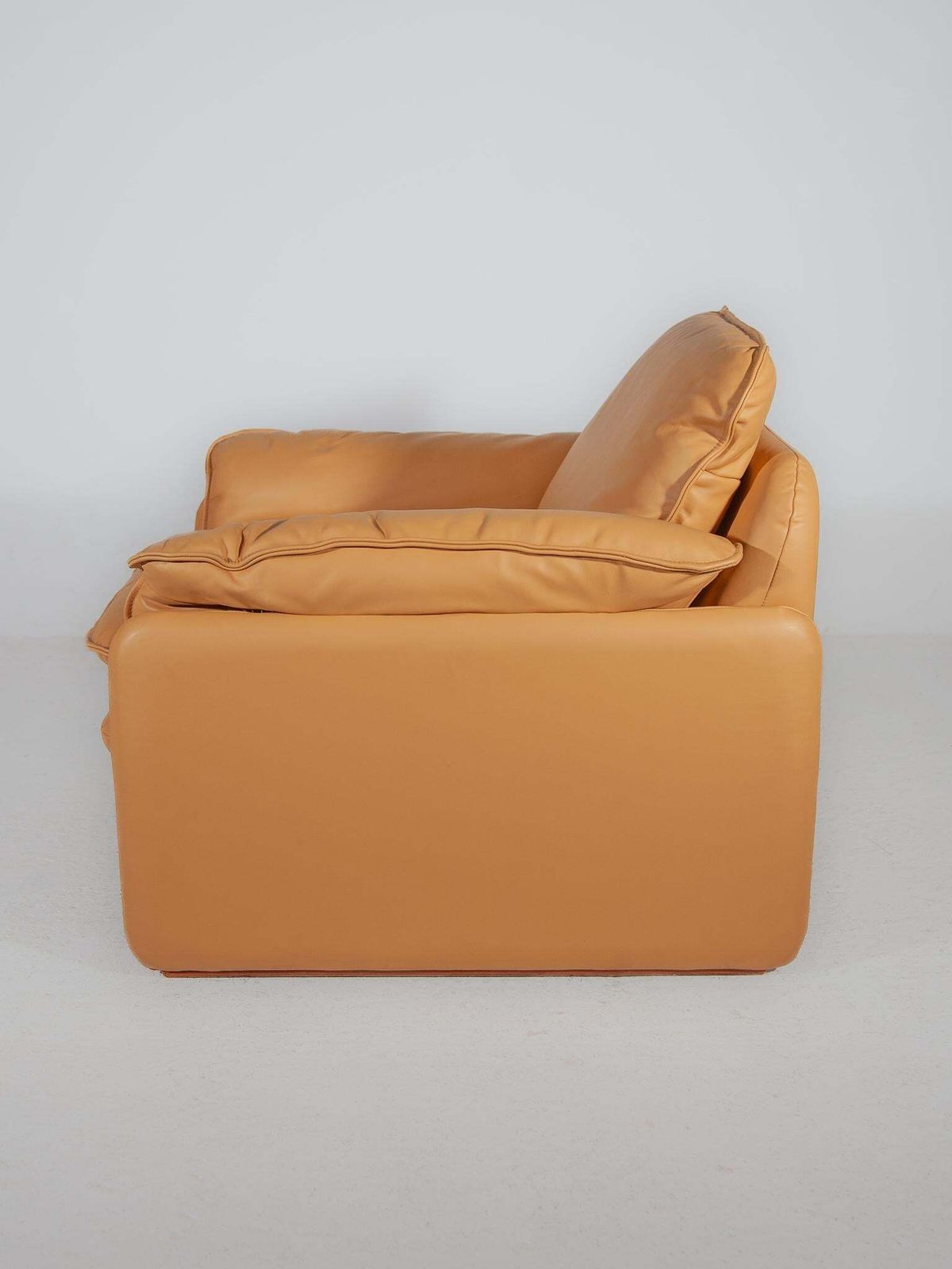 photo furniture Set Of 2 Ds 61 Armchairs Camel Leather Designed By De Sede, 1970s
