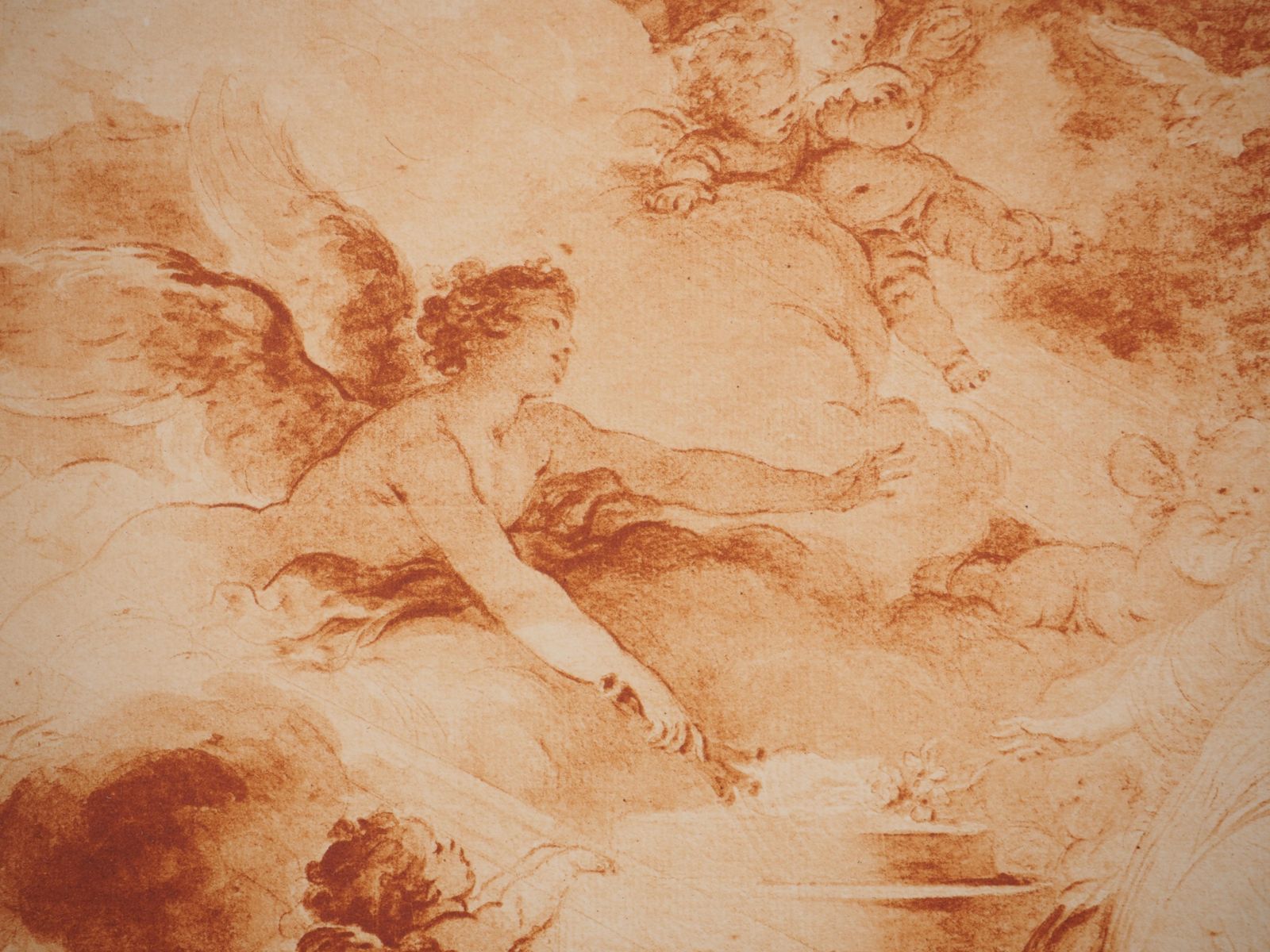 François Boucherallegory Of Love : Woman Surrounded By Angels And Doves    Etching photo 172.0
