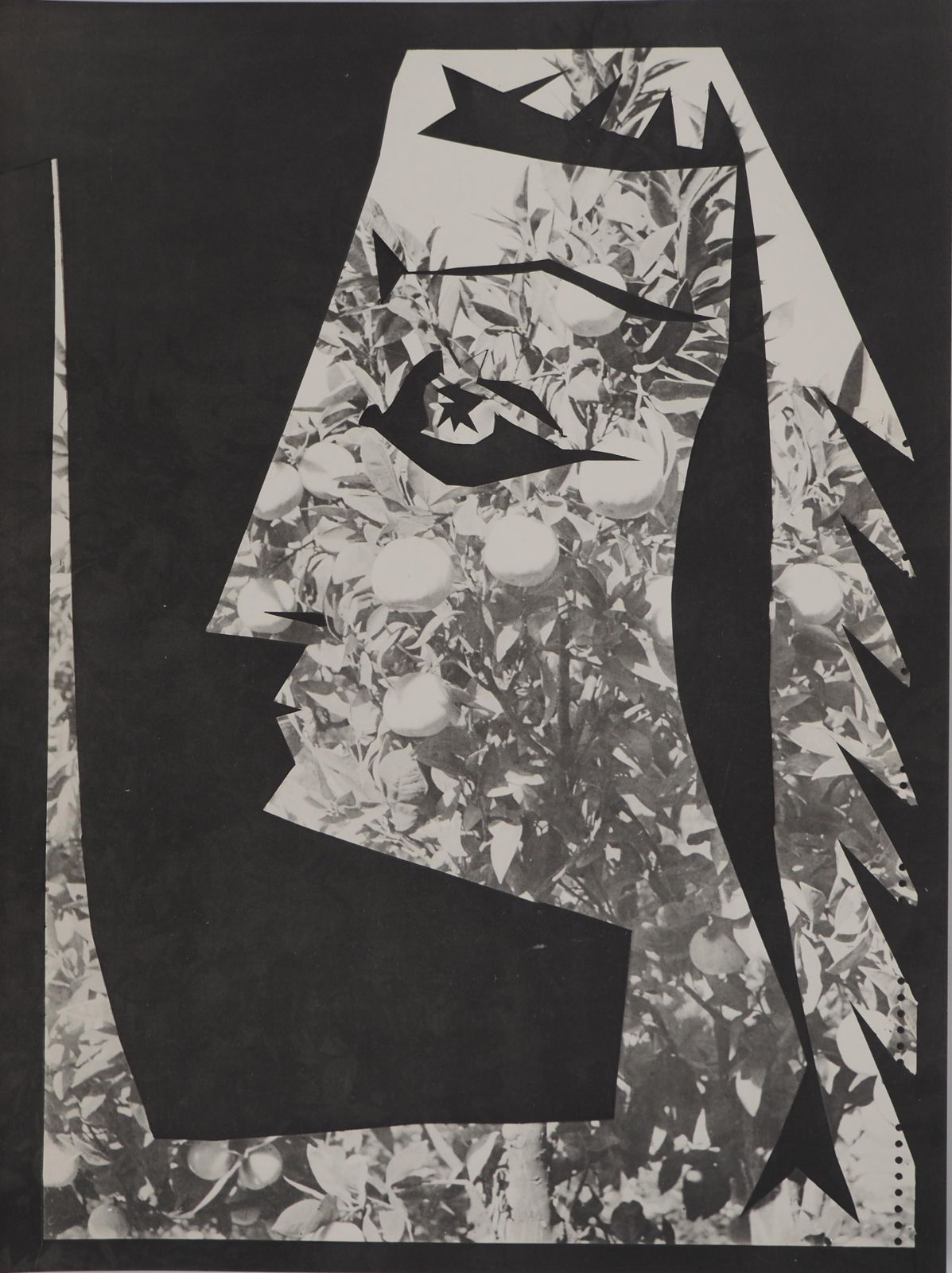 Pablo Picassodiurnes: Woman In A Lemon Tree   Original Collotype And Stencil (Cramer #115)1962