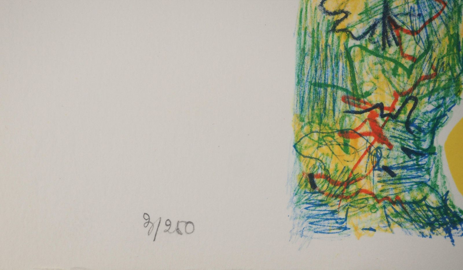 Salvador Dalí­The Vitraux : Pink Elephant   Original Lithograph Handsigned (Field #76 2f)1973 photo vinterior