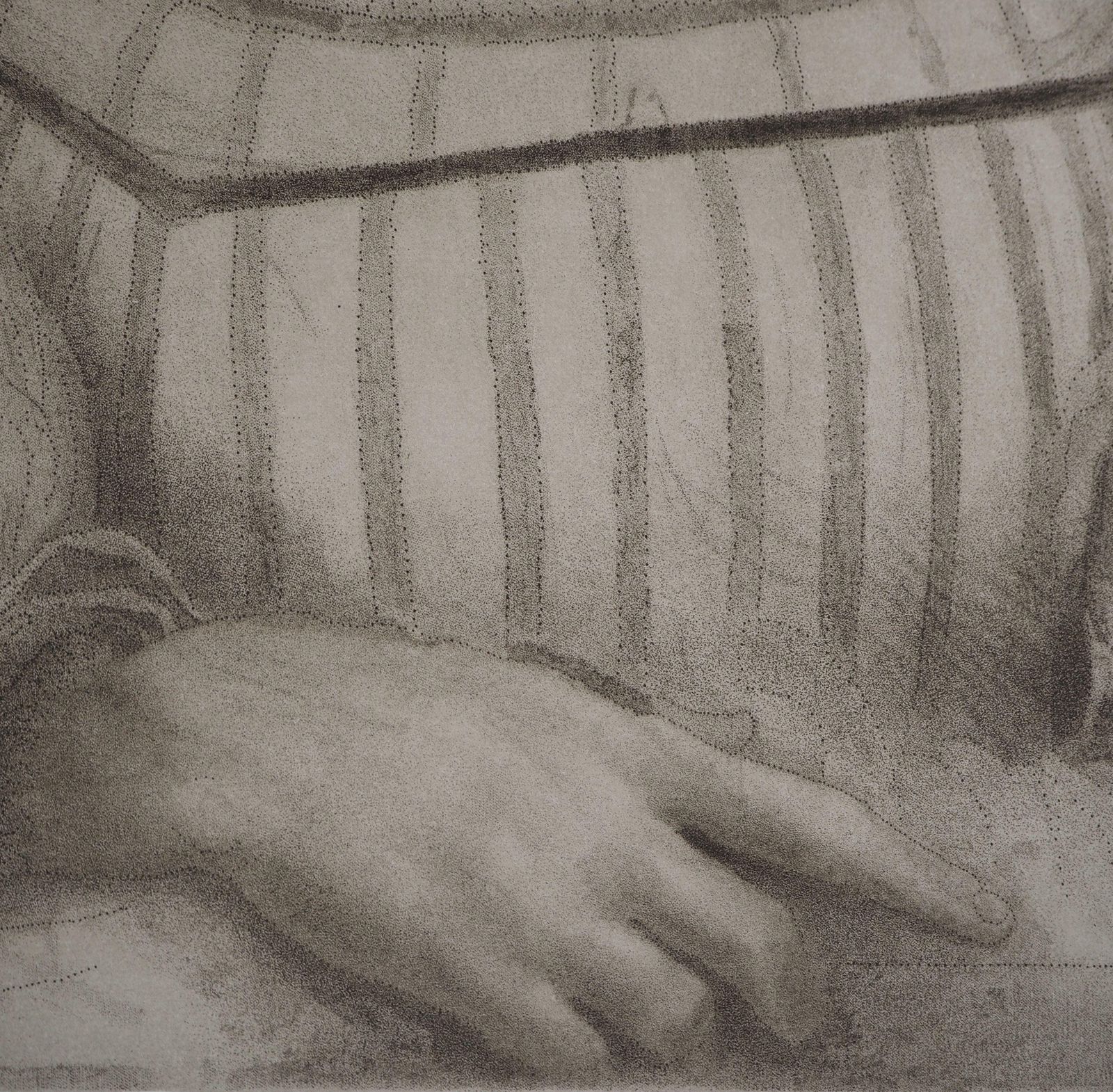 Portrait Of Isabella D'este   Etching From Louvre Museum photo Art