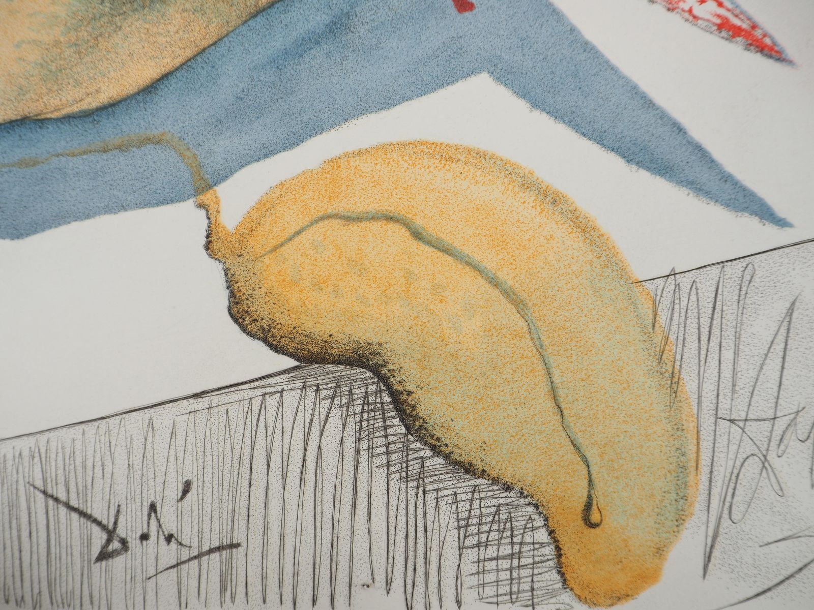 Salvador Dalí­Casanova : Sommelier Love With Cucumber   Original Etching (Field #67 4e)1967 photo vinterior