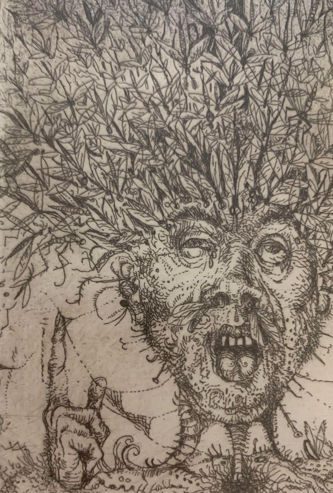 Leszek Rózgamosquitos. Figurative Etching Print, Surrealism, Black &White, Polish Artist1967 photo for sale
