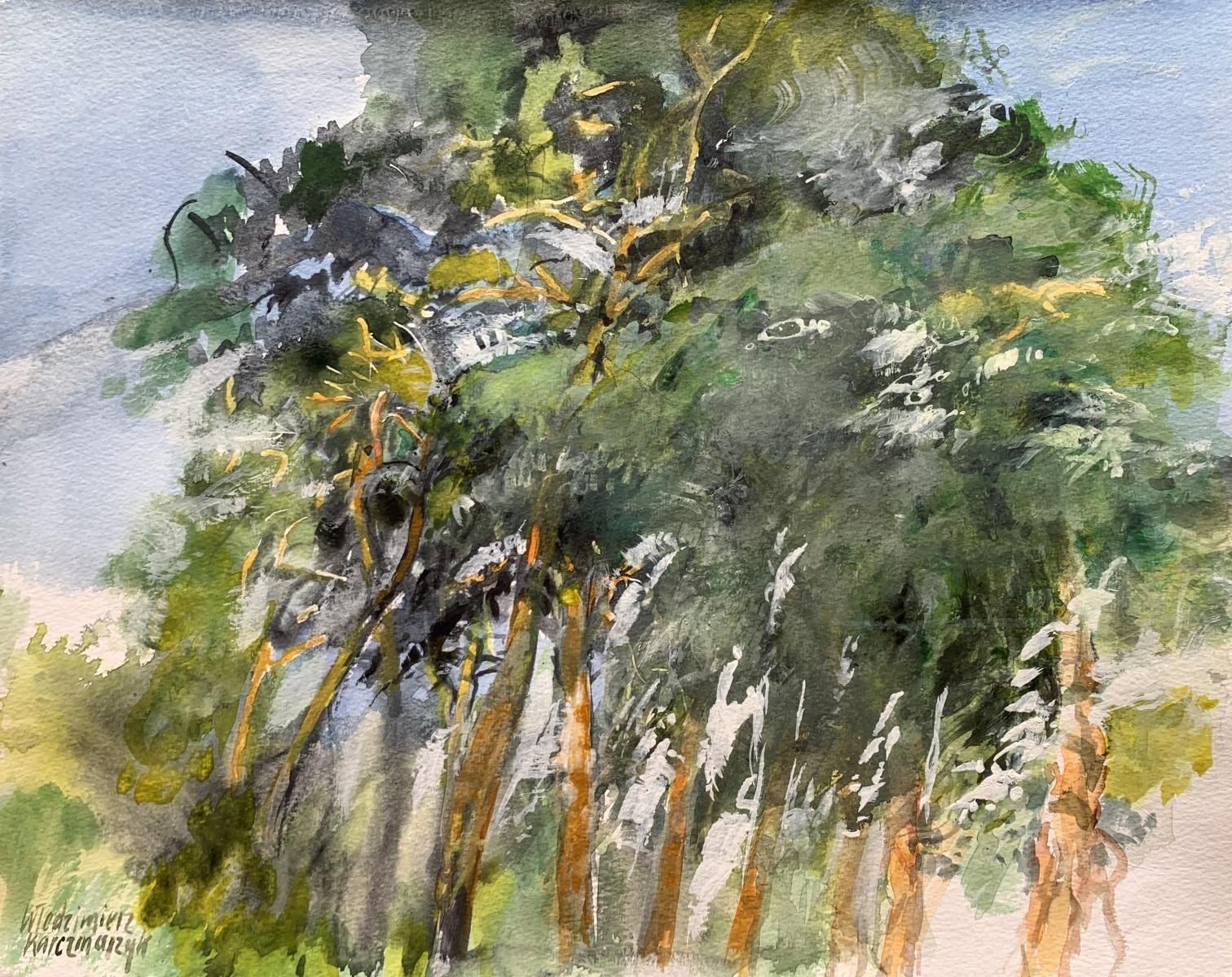 Włodzimierz Karczmarzykabove All  Pines. Watercolor, Tempera On Paper, Landscape, Classic, Polish Art2011