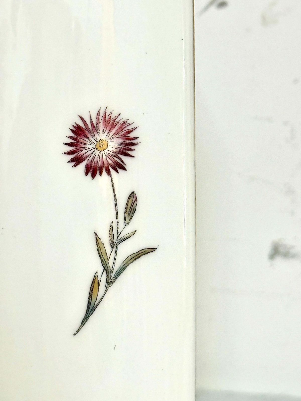 Wedgwood Bone China Tray – Hummingbird & Floral Design, England, 1991 photo Home Decor