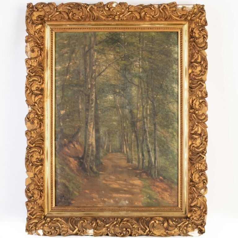 French Oil Painting On Canvas Of A Forest Footpath Signed & Dated 1900