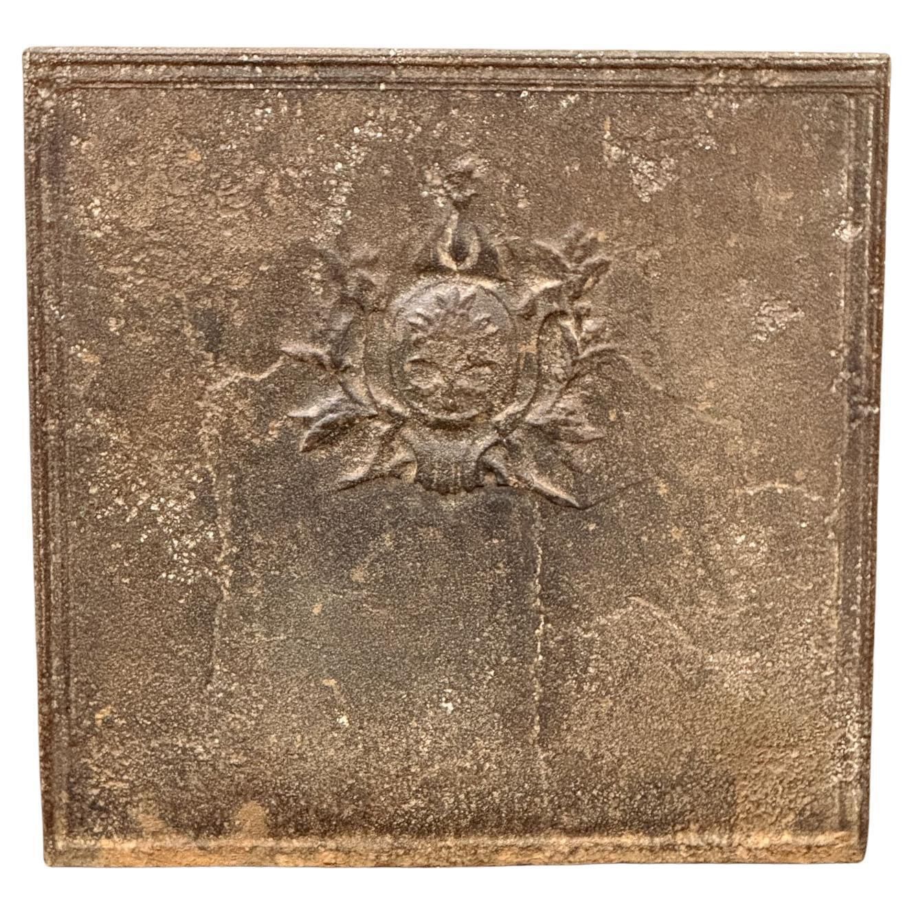 French Neoclassical Period Fireback / Backsplash, Early 19th C.