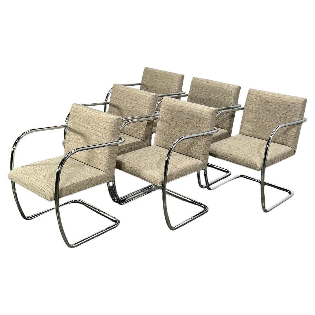 Knoll Brno Cream Tubular Chair By Ludwig Mies Van Der Rohe, Set Of Six