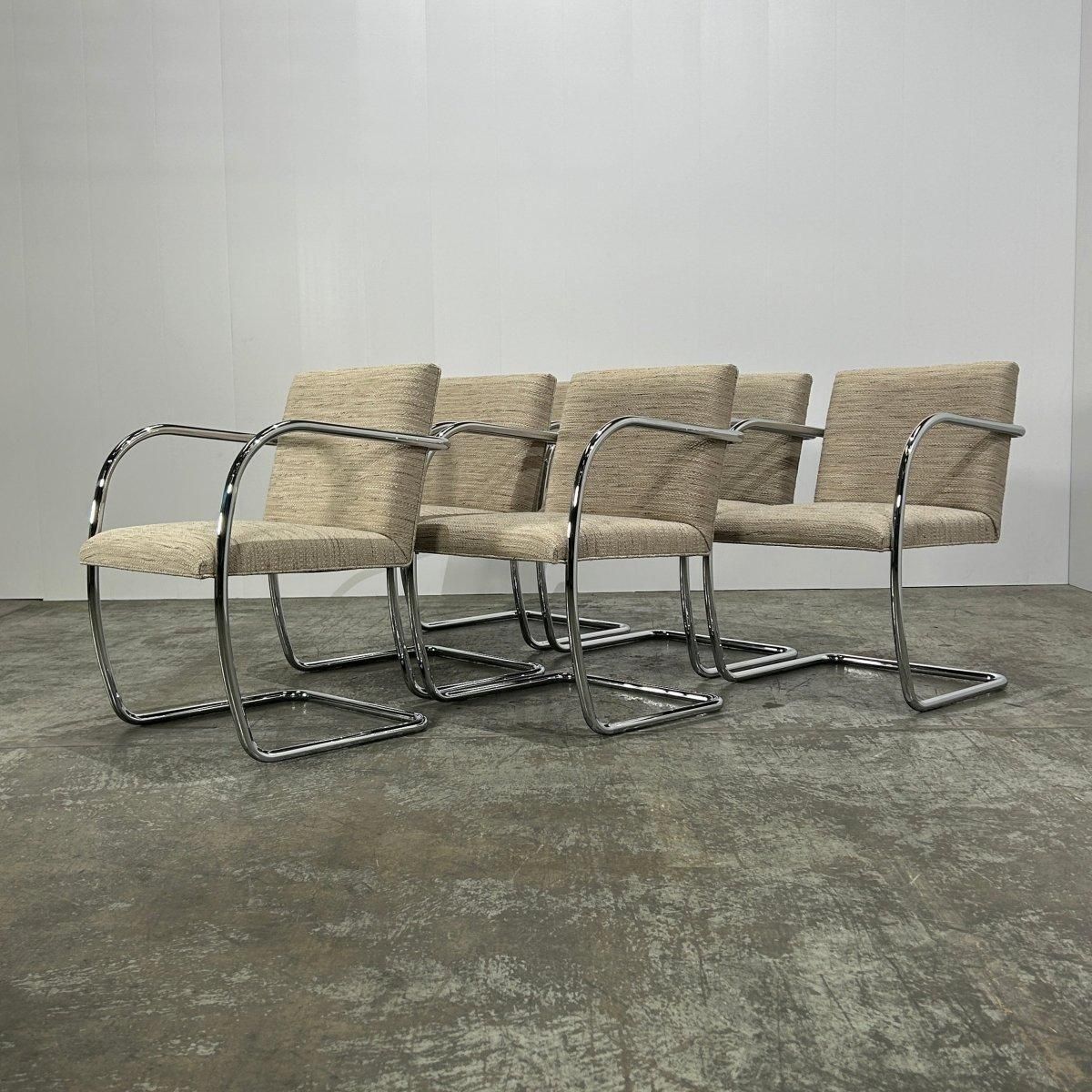 photo furniture Knoll Brno Cream Tubular Chair By Ludwig Mies Van Der Rohe, Set Of Six