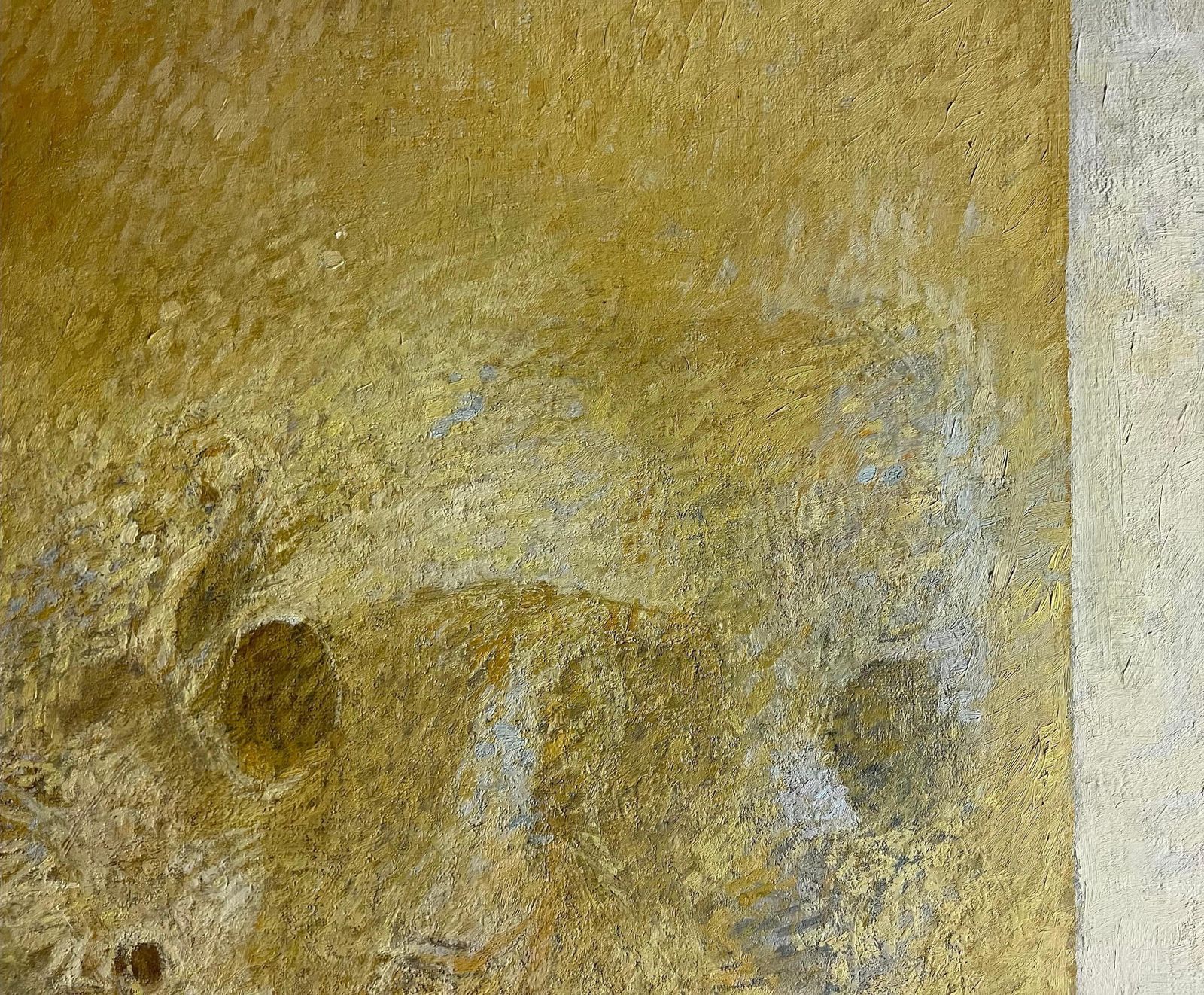 Giacomo Soffiantino"Fossils And Shells" Oil Cm. 100 X 120 Yellow, Brown  19601960 photo vintage