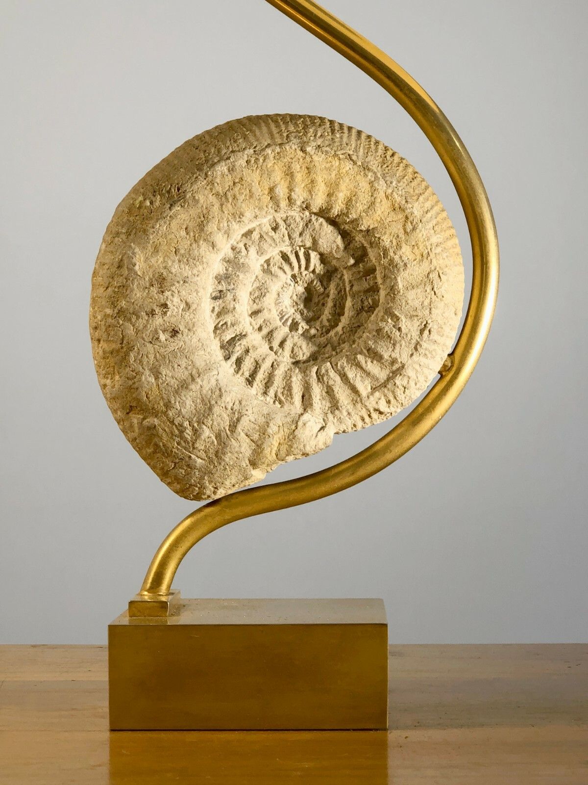 1970 Ammonite Art Deco Shabby Chic Modernist Lamp Willy Daro Jansen Pergay photo furniture