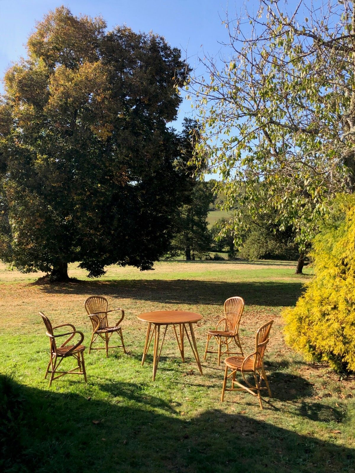 1950 Audoux Minnet 4 Chairs Modernist Brutalist Shabby Chic Sognot Mategot
