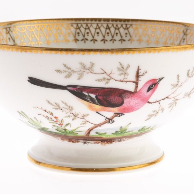 Antique Early 19th Century Paris Gilt Porcelain Ornithological Hand Painted Birds Bowl photo 275.0