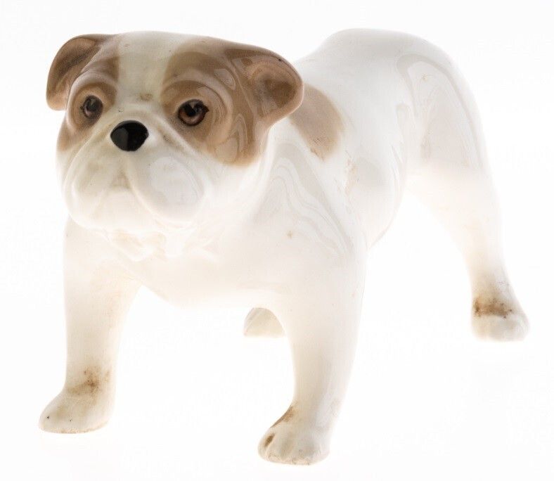 Mid Century Burslem Porcelain Ceramic Bulldog Figure