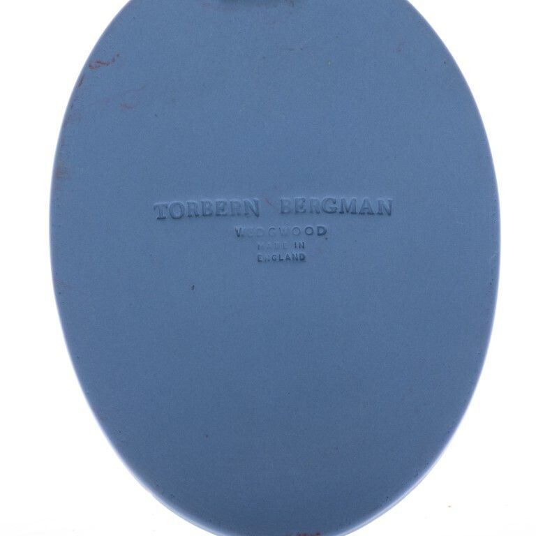 Wedgwood Blue Jasperware Ceramic Porcelain Torbern Bergman Portrait Medallion Laurel Leaf Plaque photo 175.0