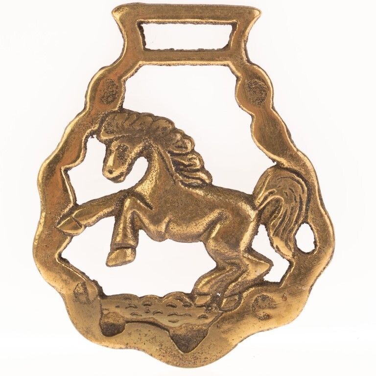 Antique Brass Lucky Horseshoe