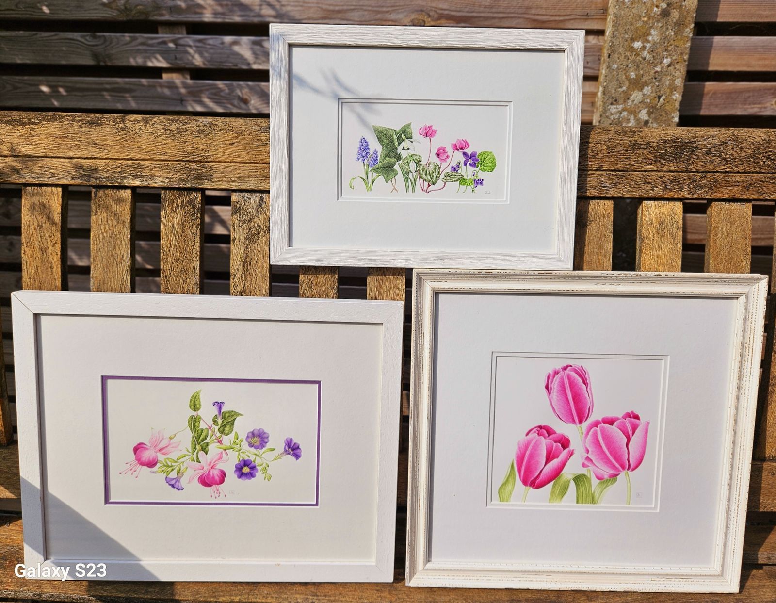 Trio Of Exquisite Botanical Floral Watercolours In White Wood Frames photo furniture