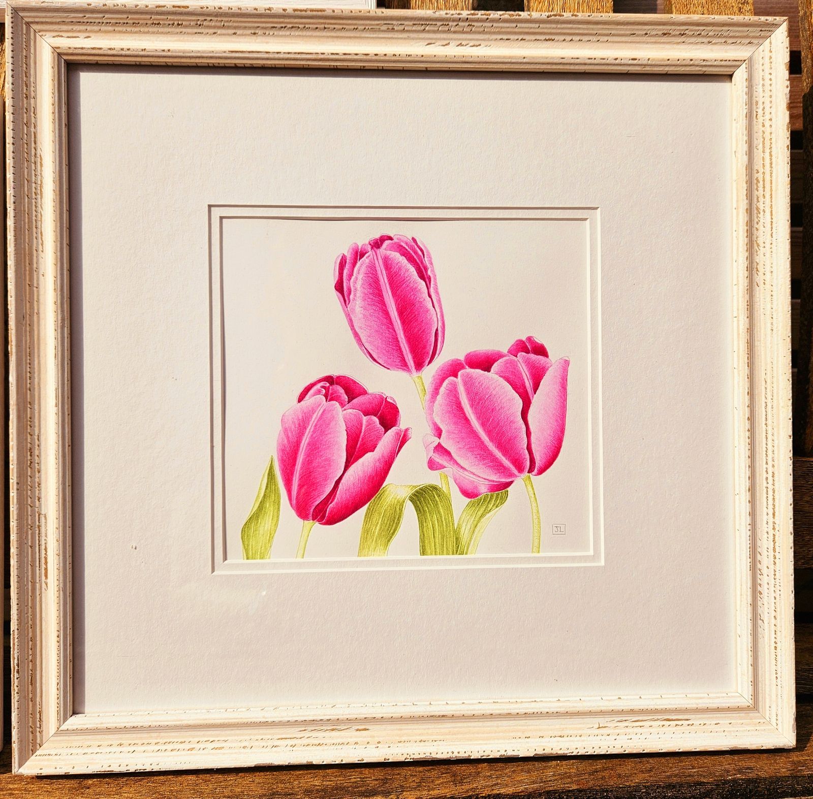 Trio Of Exquisite Botanical Floral Watercolours In White Wood Frames photo vintage