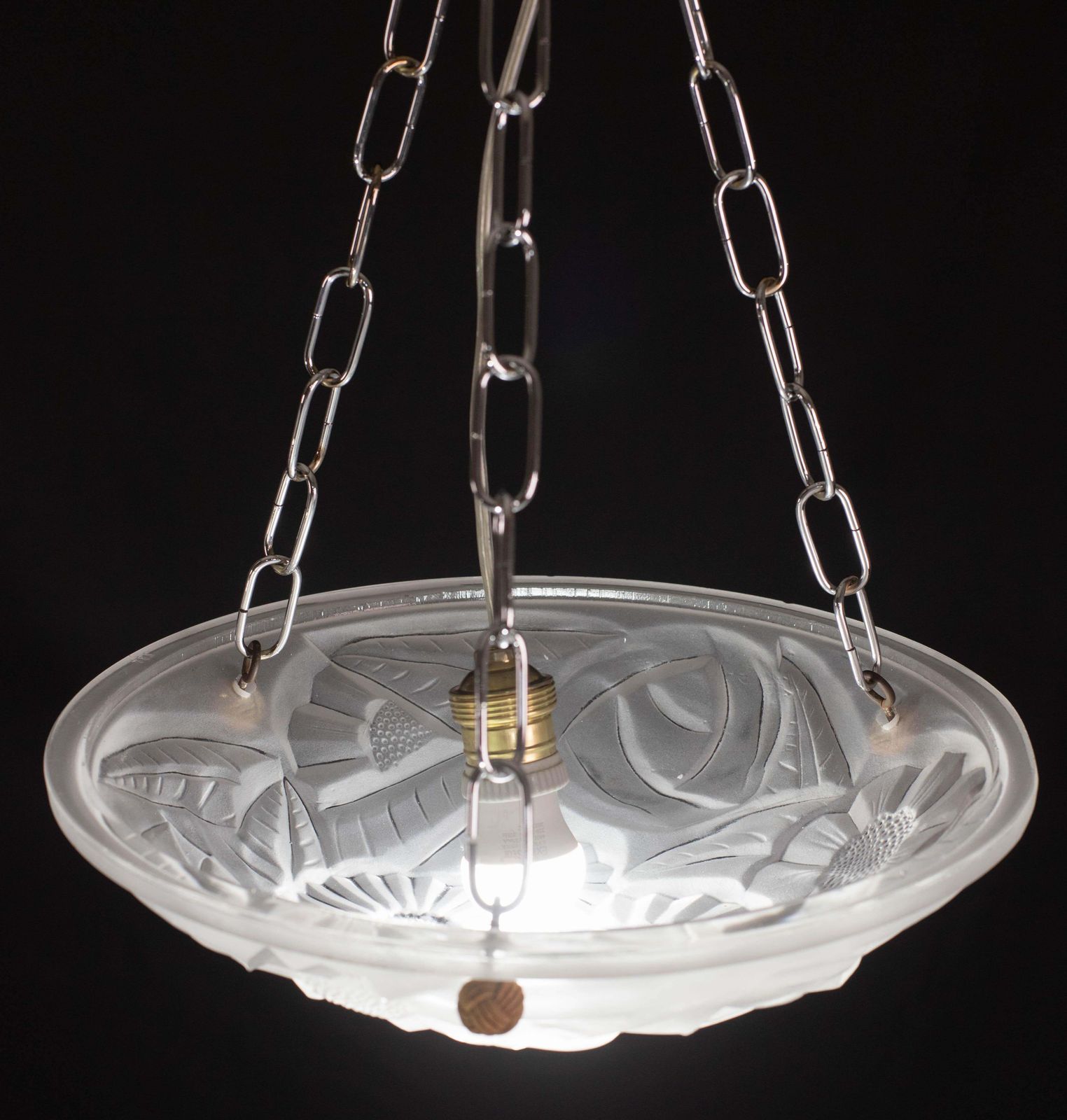 Art Deco Top Quality Pendant Light Floral Decorations, Signed Degué photo Lighting