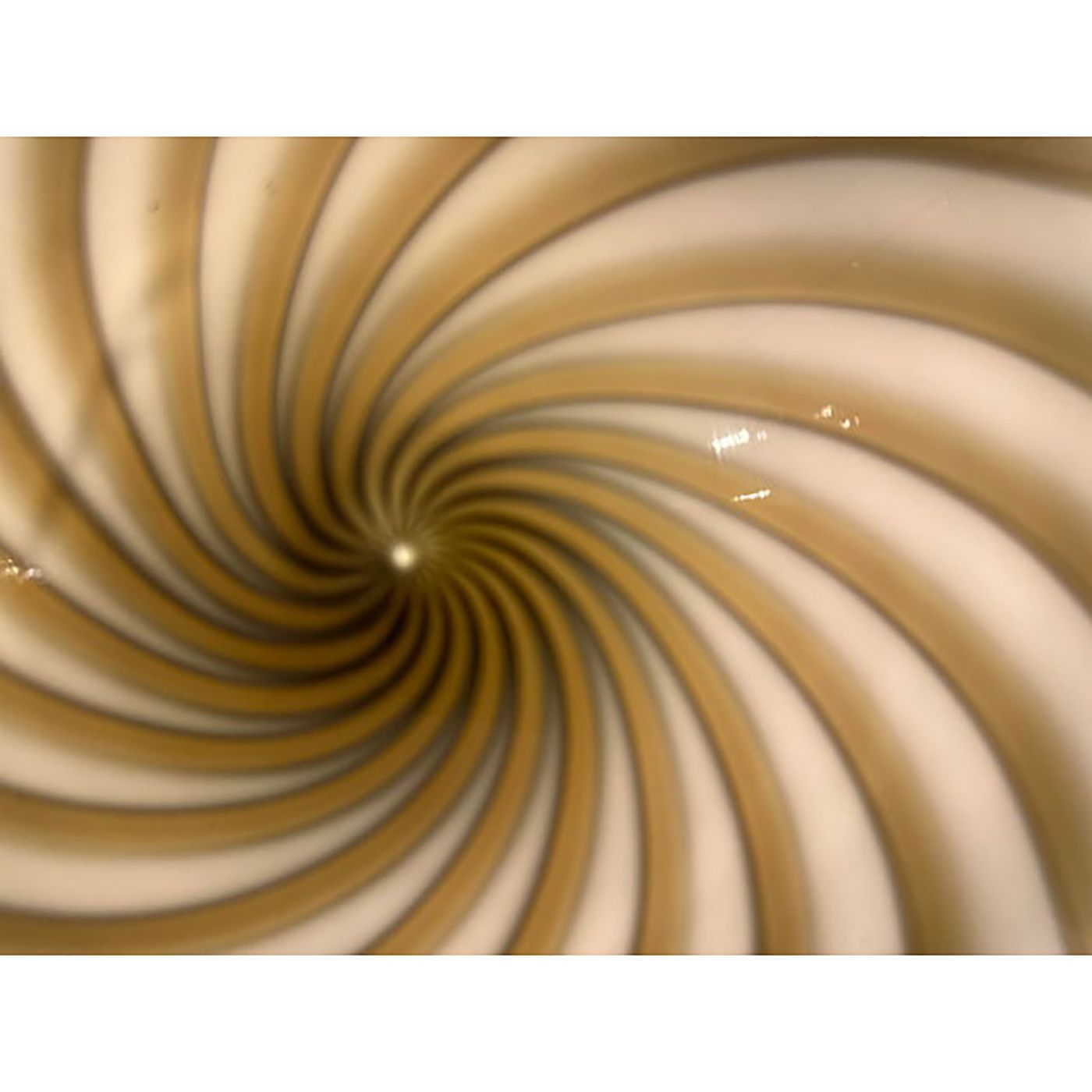 Contemporary Italian Milky White And Brown Swirls Murano Glass Flush Mount Or Wall Sconce photo for sale