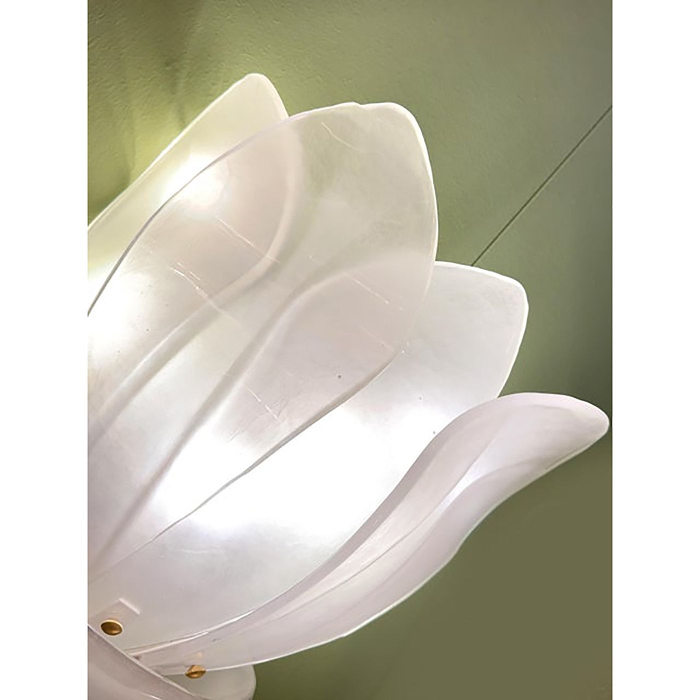 Contemporary Venetian Sanded Murano Glass Floreal Wall Sconces Set Of Two photo furniture