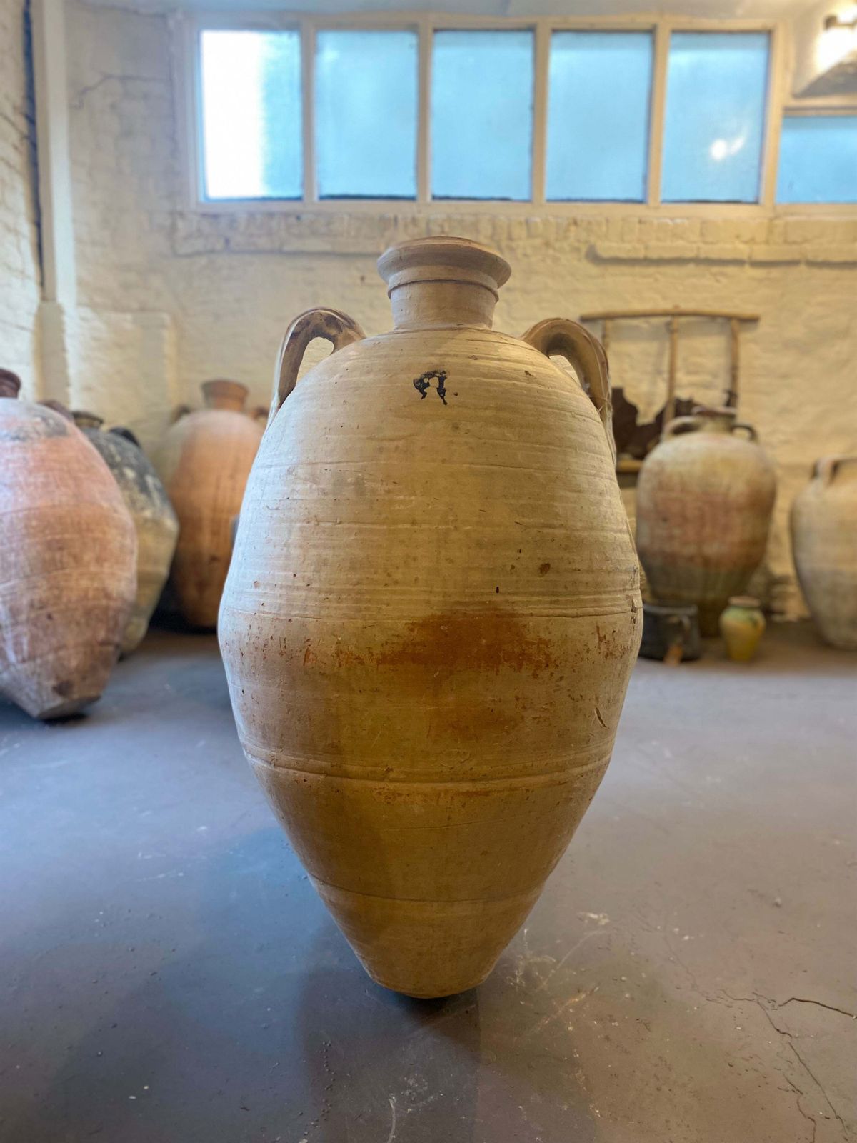 Spot – 19th Century Tunisian Olive Pot photo Garden Decor