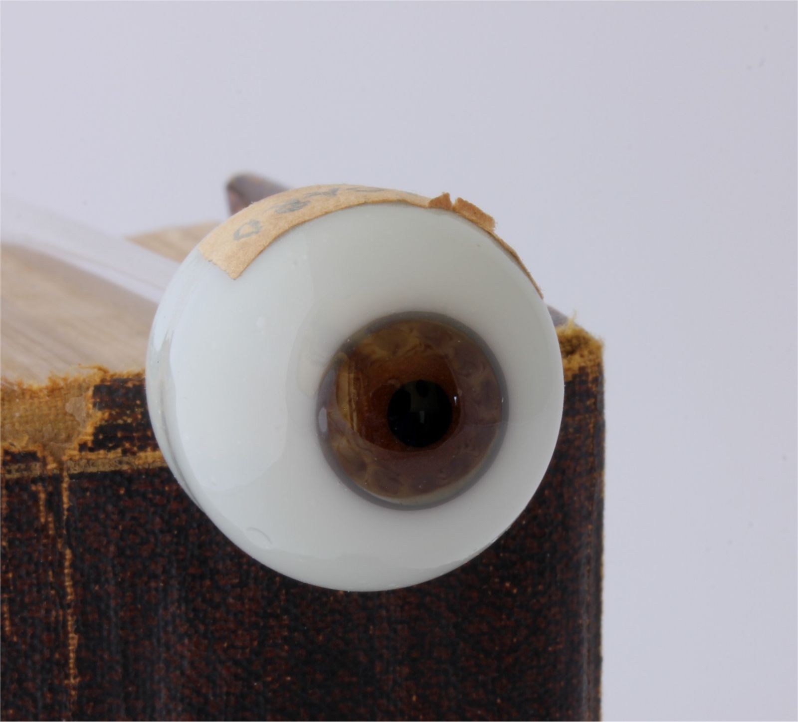 145.0 Glass Eye. Hand Blown French Ocularist Artificial Eye On Stem Stalk. photo