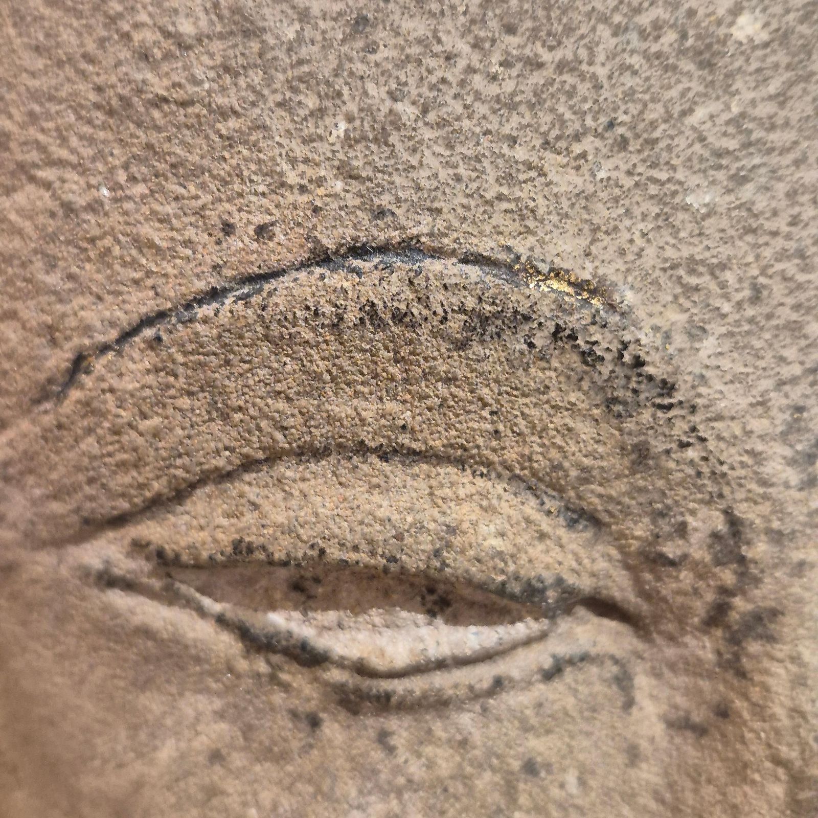 9253.0 Shakyamuni Buddha Head In Sandstone, Thailand, Ayutthaya, 17th Century photo