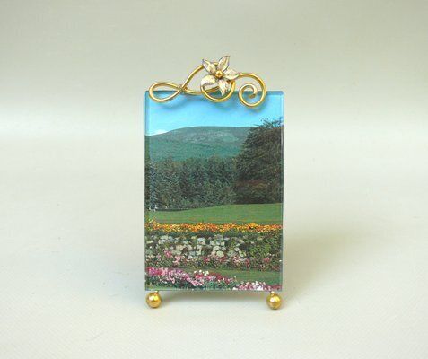 Antique German Floral Picture Frame With Flowers, 1890s