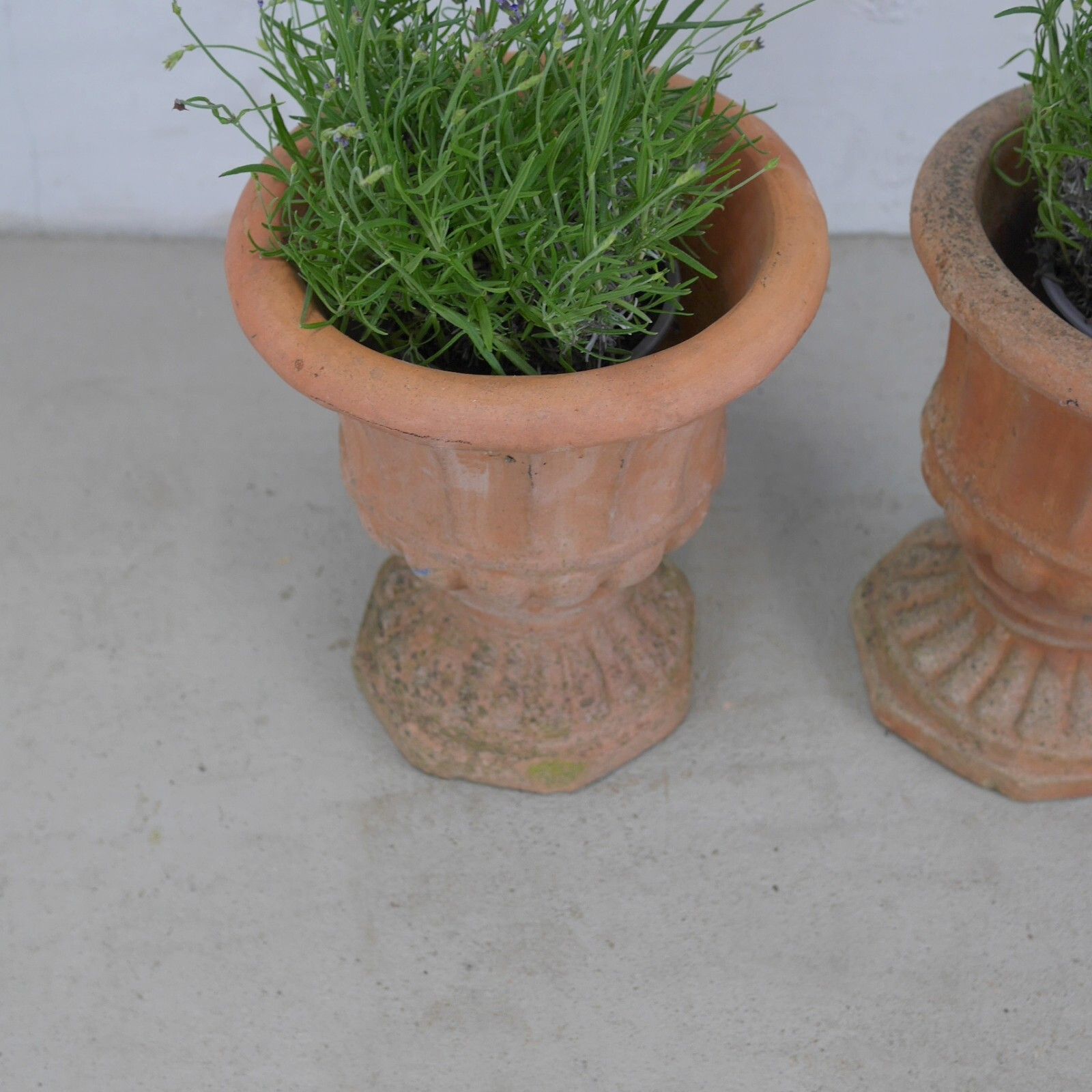 Pair Weathered Terracotta Garden Urn Tazza Planter Antique Style #102925 photo furniture