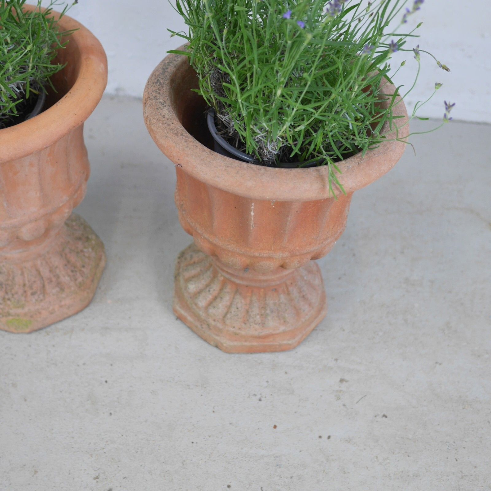 Pair Weathered Terracotta Garden Urn Tazza Planter Antique Style #102925 photo for sale