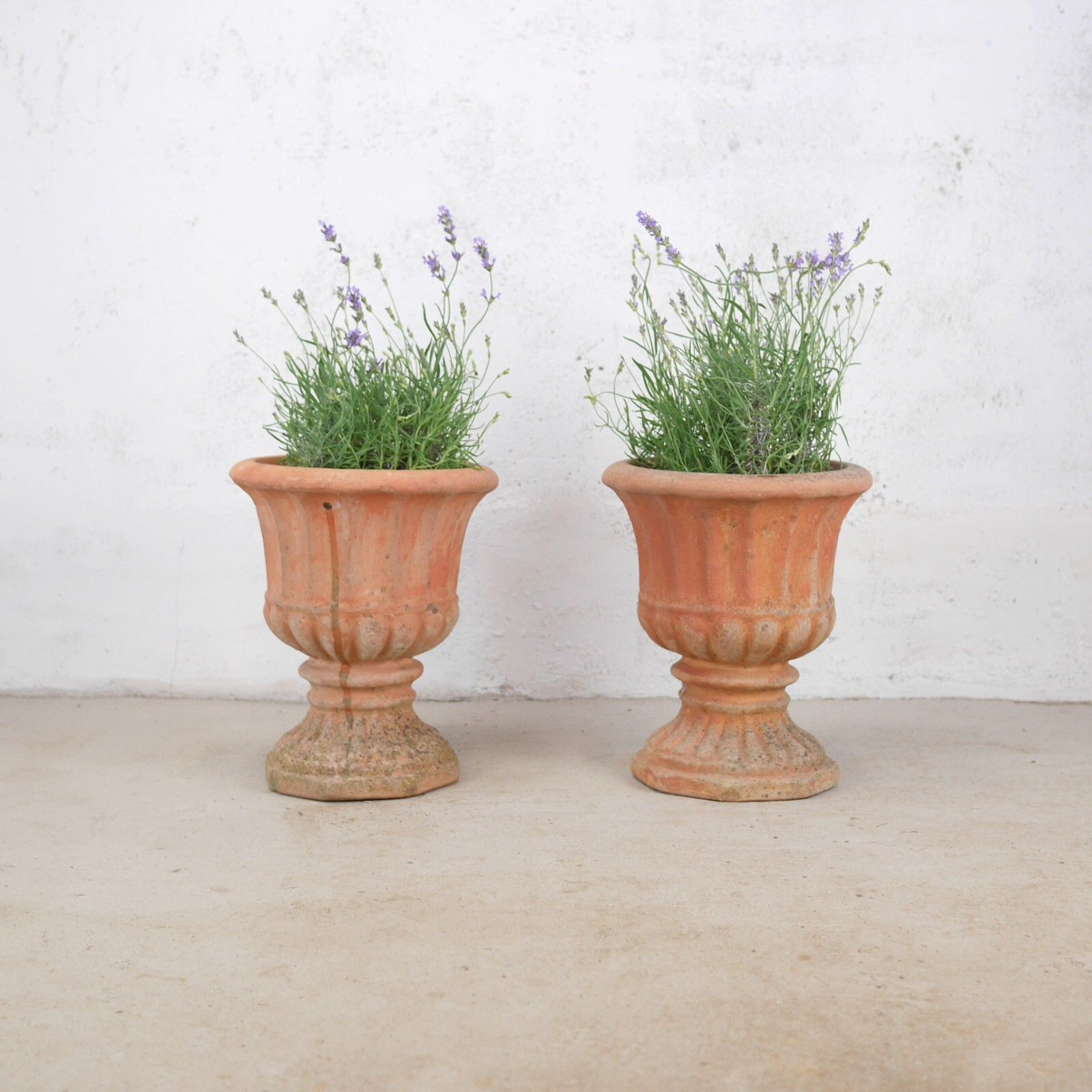 Pair Weathered Terracotta Garden Urn Tazza Planter Antique Style #102925 photo vintage