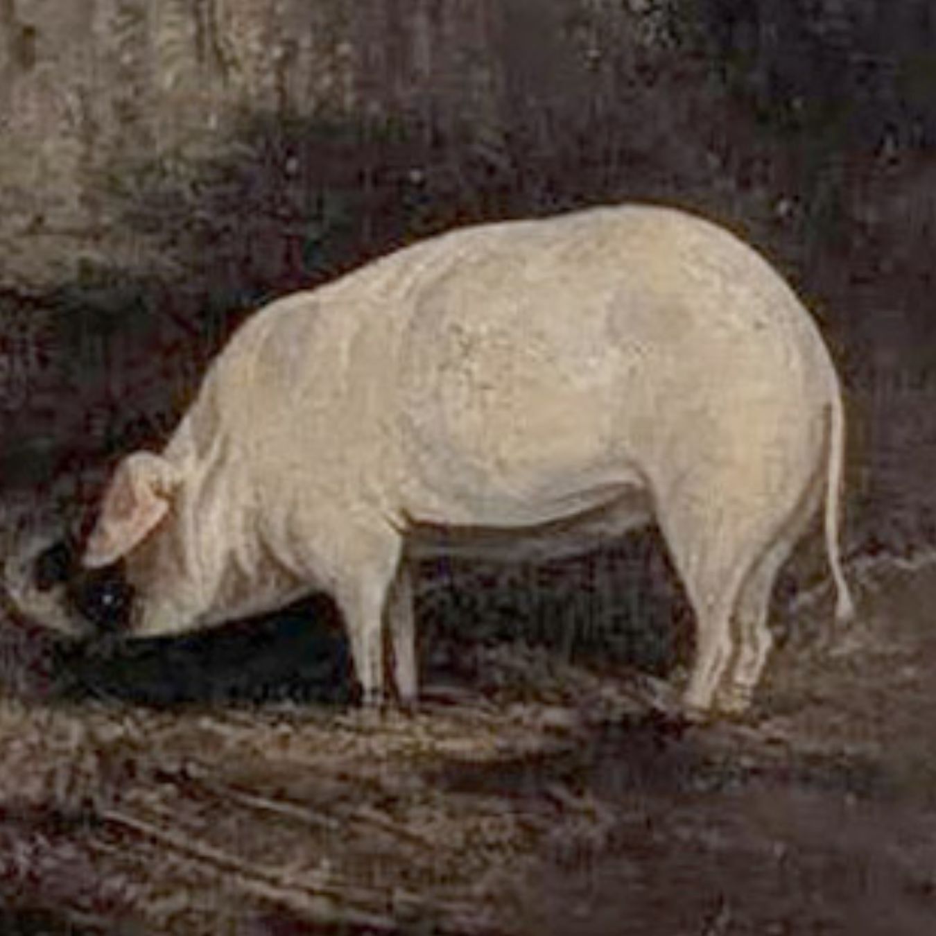 Gouache Of Charles Jacques Pig In Its Stable photo for sale