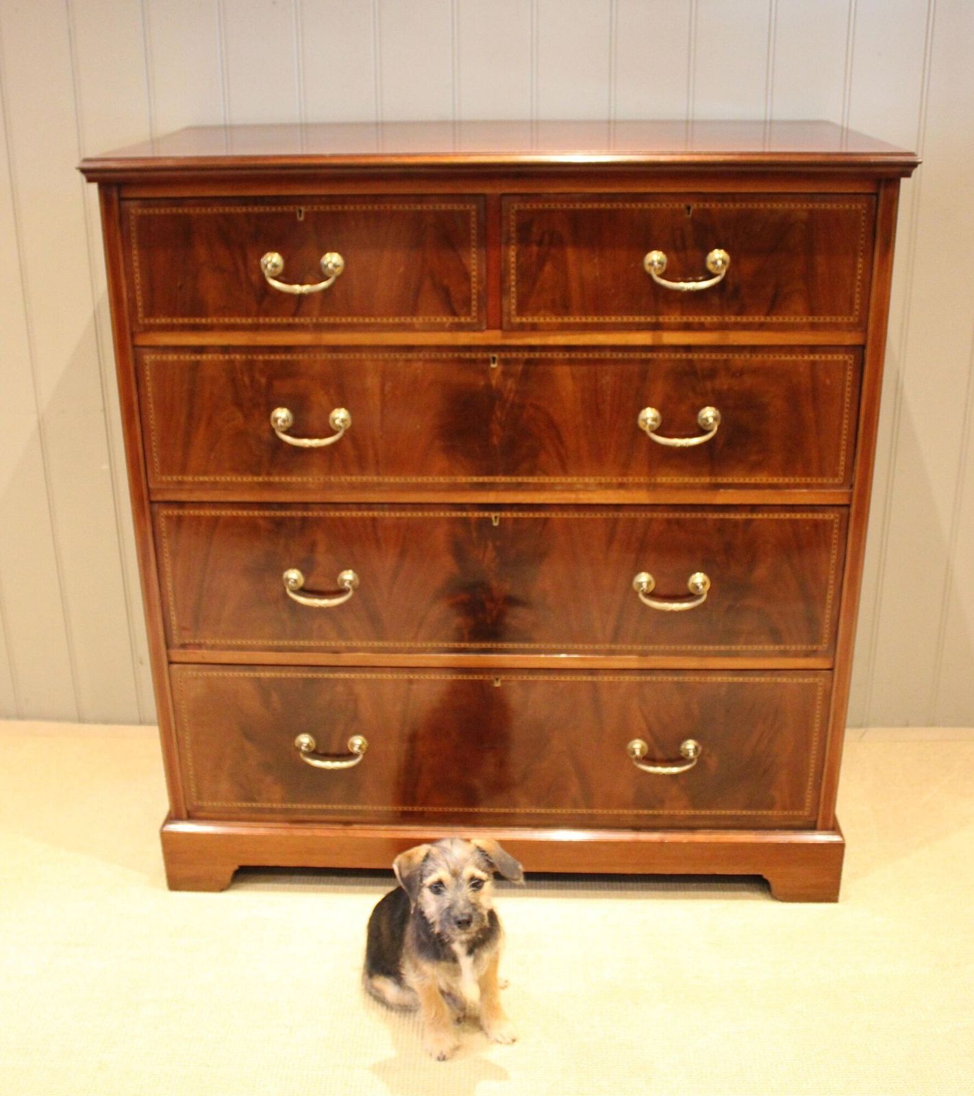 Substantial Edwardian Mahogany Chest Of Drawers photo buy