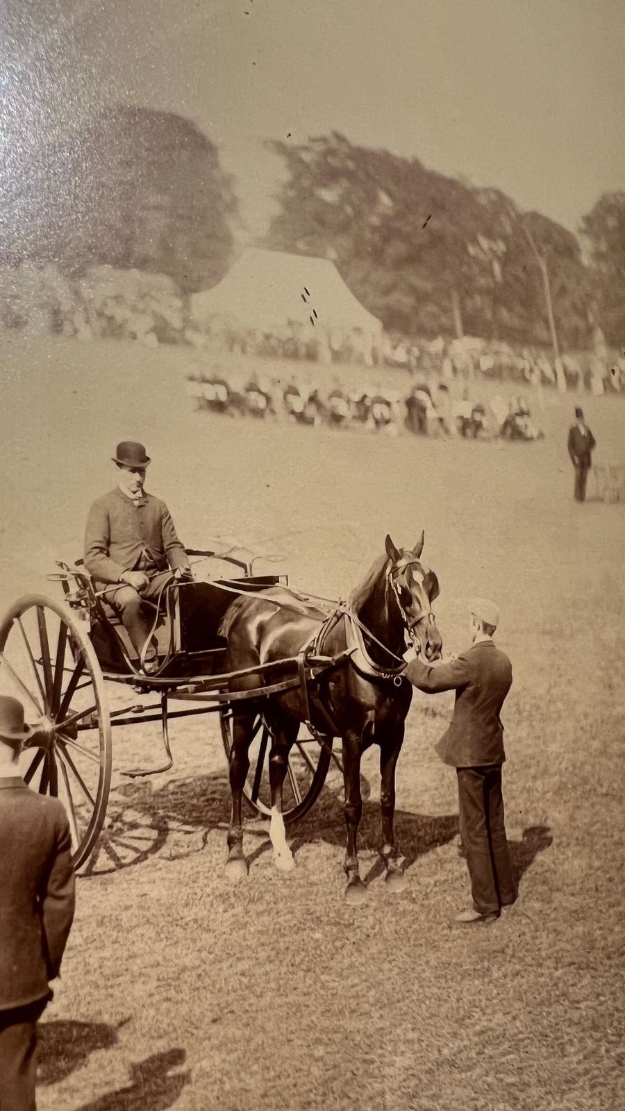 1960s 70s Vintage Horse And Carriage Event Photograph – Signed And Framed photo vinterior