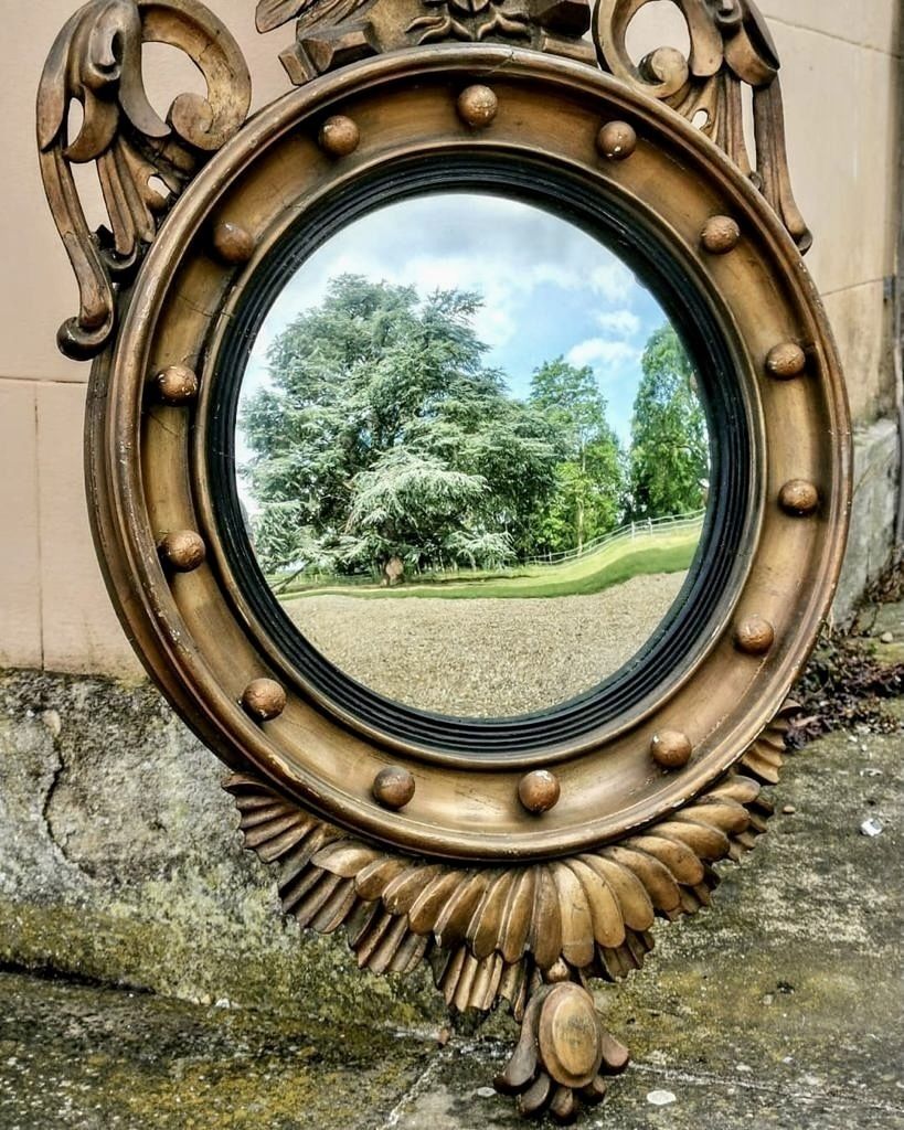 Regency Gilt Wood Convex Mirror photo 800.0