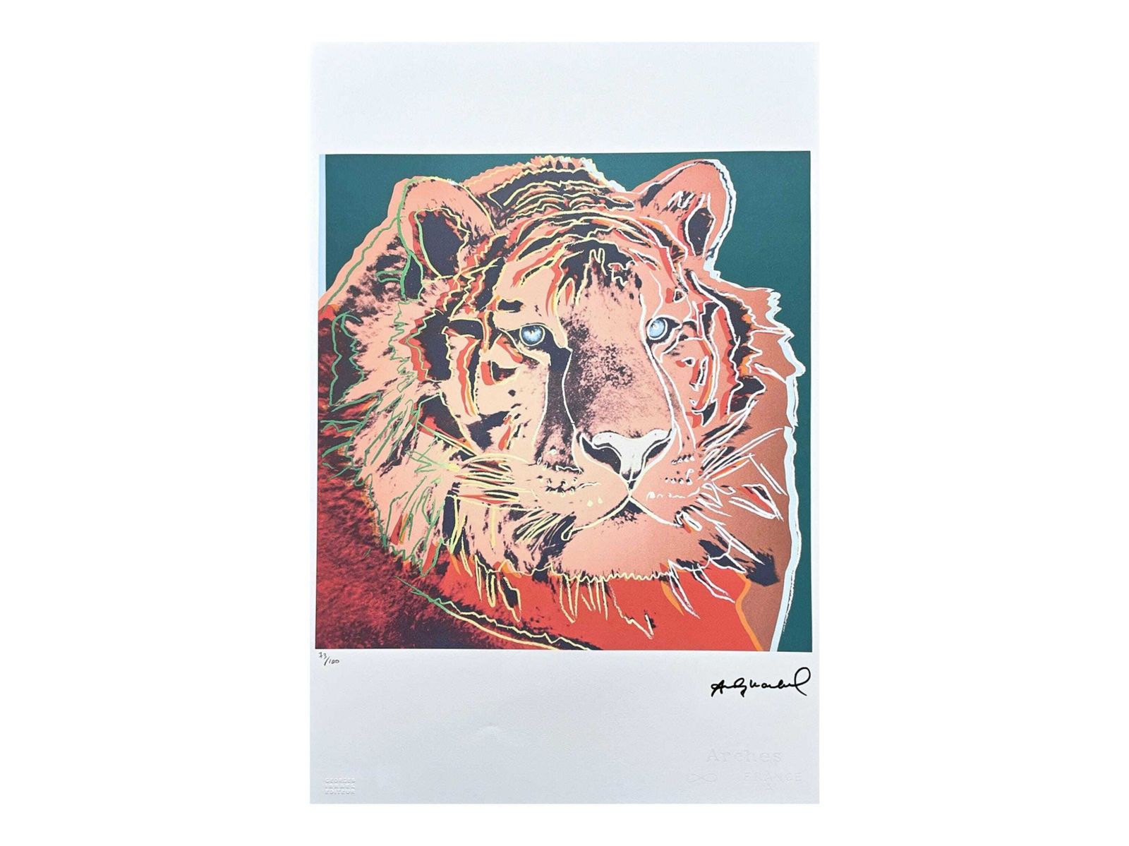 Andy Warhol “Tiger” Signed, Limited Edition Of 100, 38 X 56 Cm, Edition Leo Castelli #Warhol