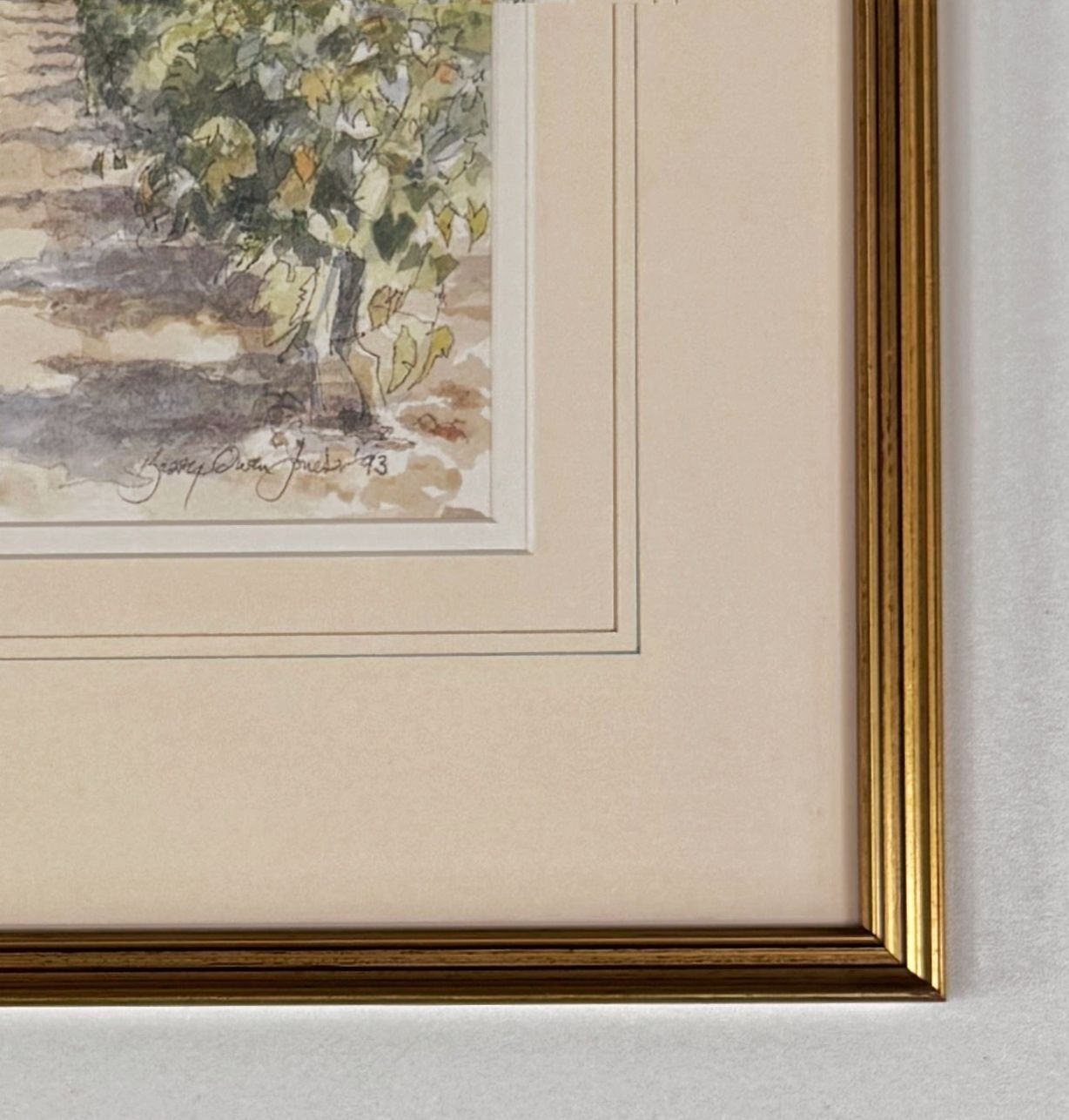 Barry Owen Jones   Through The Vines, Fauçon photo 195.0