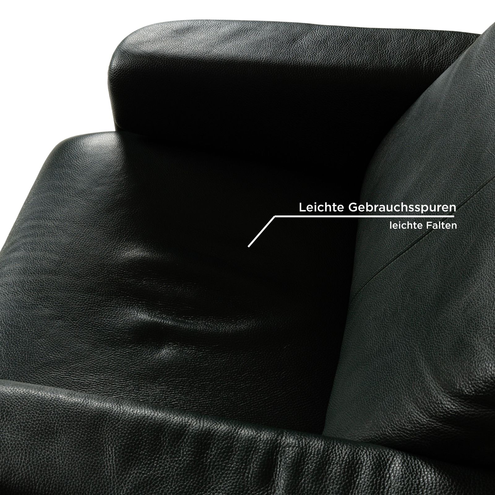 photo furniture Erpo City Leather Armchair Green Manual Function