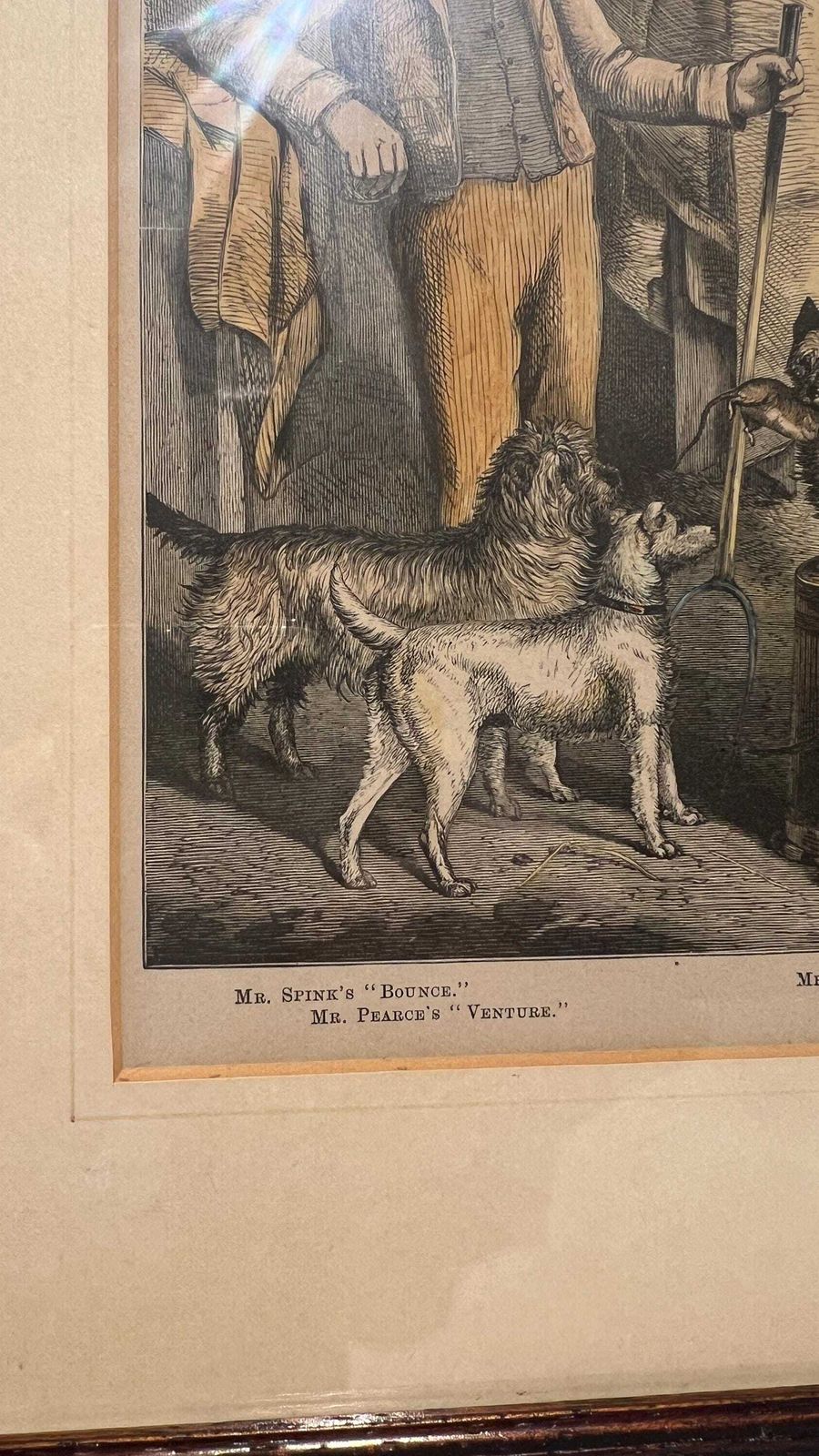 Antique 19th Century Book Print Of Dog Breeds And Handler – Framed And Glazed photo for sale