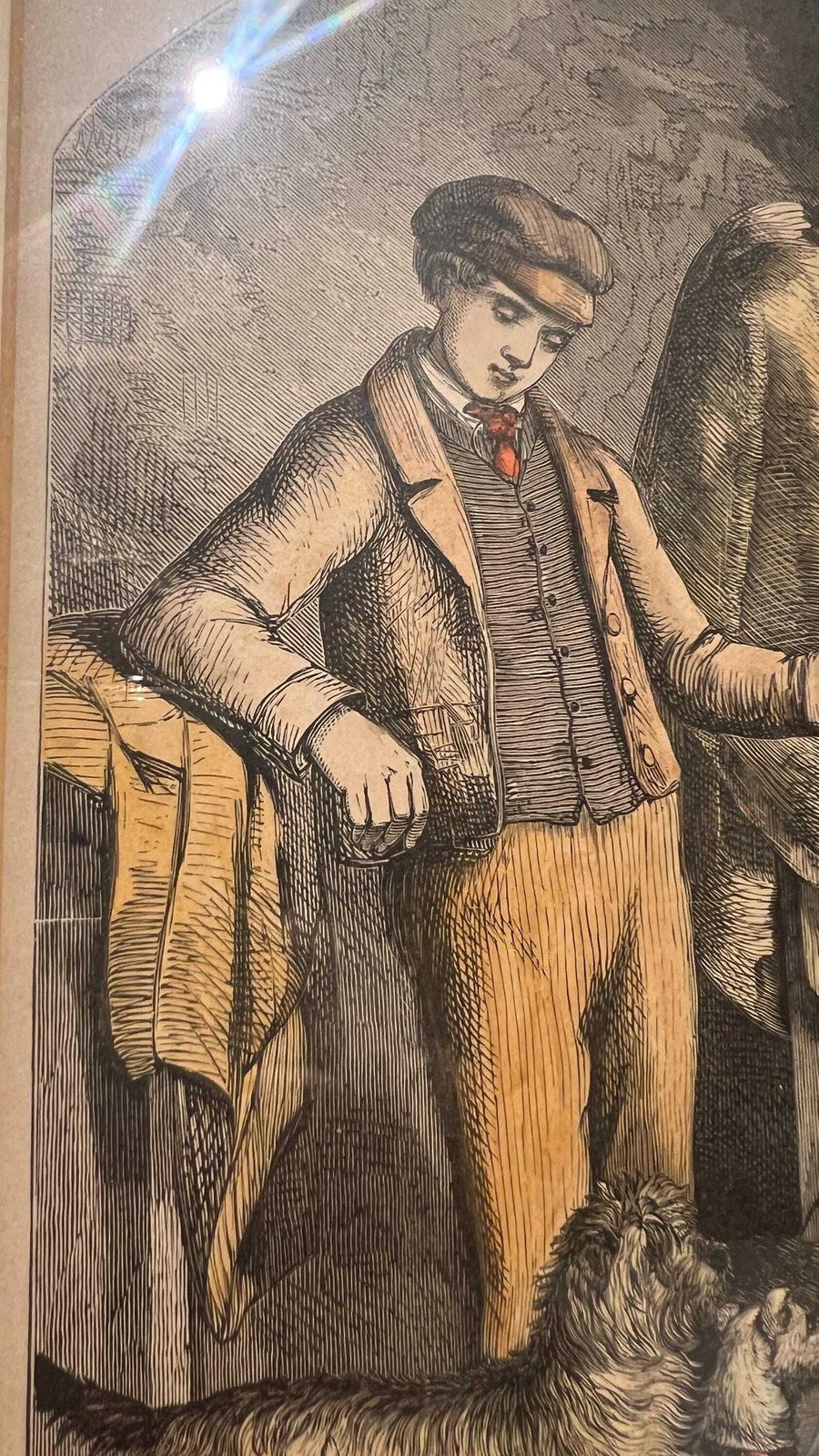 Antique 19th Century Book Print Of Dog Breeds And Handler – Framed And Glazed photo 55.0