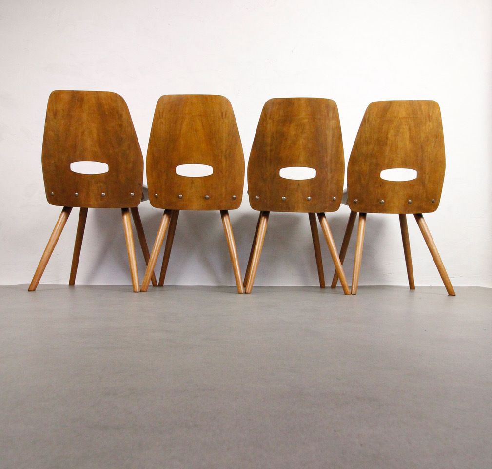 4x Vintage Chairs Tatra Pravenec "Gentleman"   1963 photo Furniture