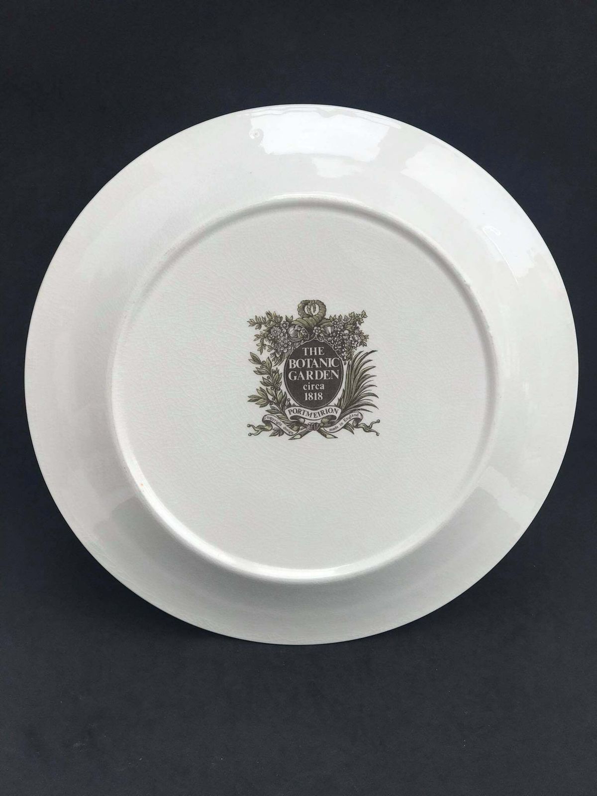 Portmeirion Botanica Dinner Plate 70s Botanic Garden Dinner Plate Cistus Purpureus" Woody Nightshade Made In England China Replacement photo Home Decor