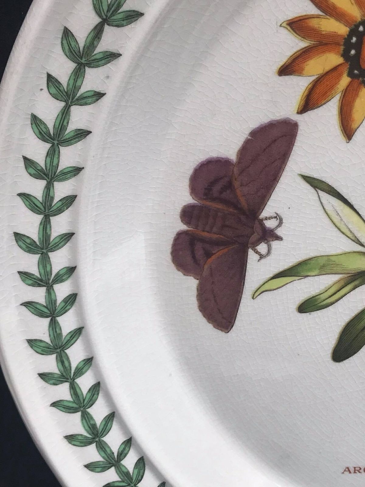 Portmeirion Botanica Dinner Plate 70s Botanic Garden Dinner Plate Cistus Purpureus" Woody Nightshade Made In England China Replacement photo buy