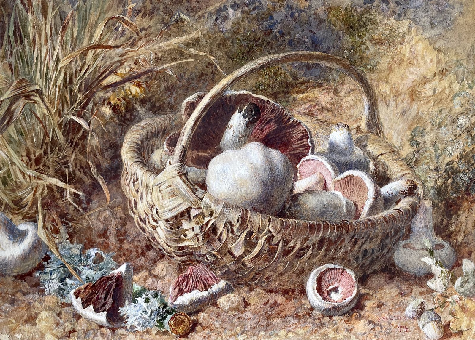 Jebez Blight   Victorian Still Life Watercolour Of Mushrooms In A Basket photo 1200.0