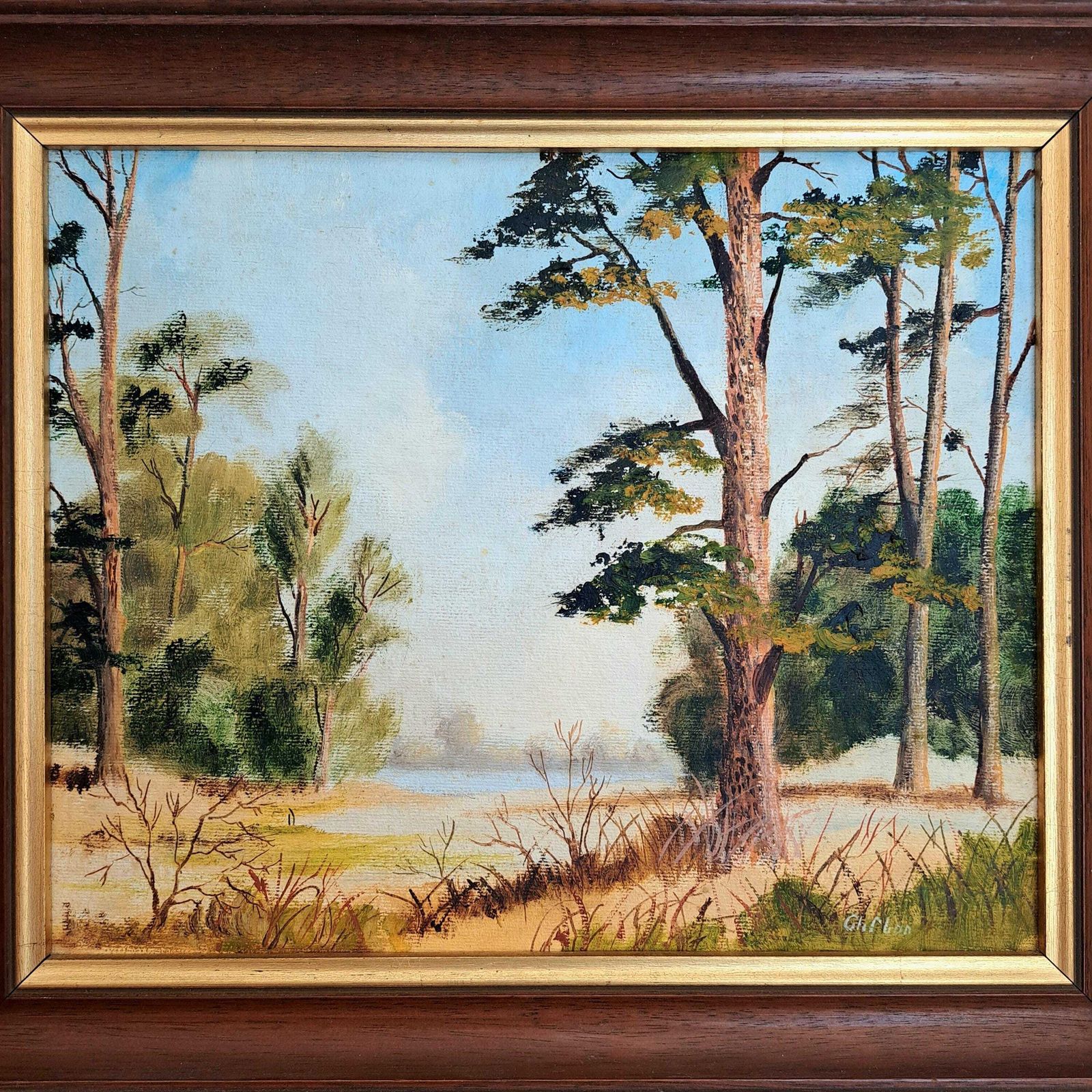 Original Painting By "Clifton"   Zhao Huxie | Signed | Framed Oil On Canvas | Summer Landscape | Vintage Art photo Art