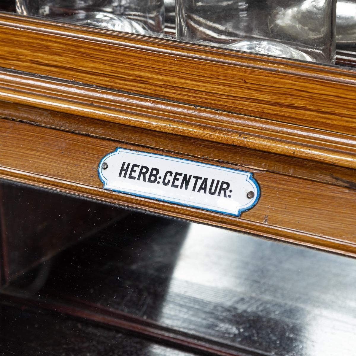 Antique 20th Century French Scumbled Pine & Glass Pharmacy Cabinet C.1900 photo Furniture